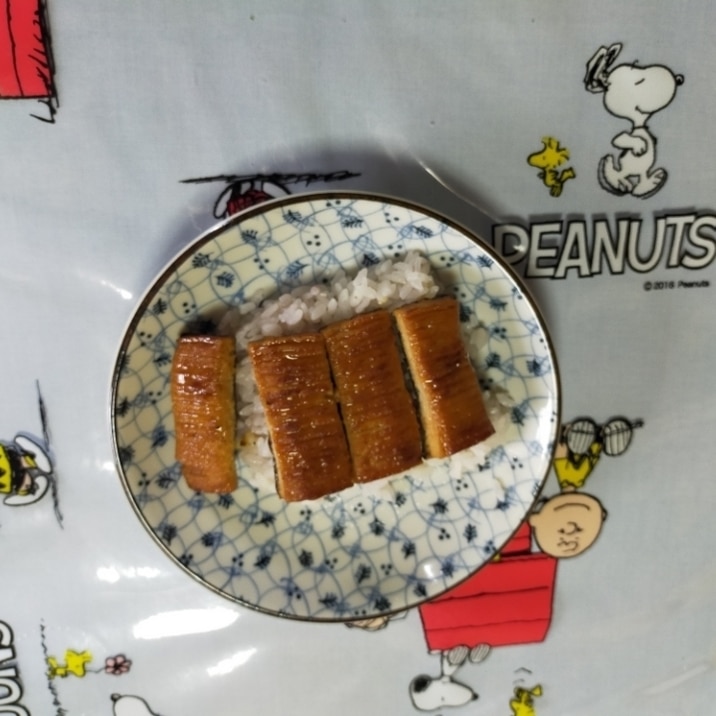 うなぎ丼♪うなぎ風魚のすり身丼♪